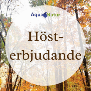 Hösterbjudande