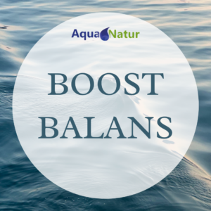 BOOST BALANS (3 MÅN)